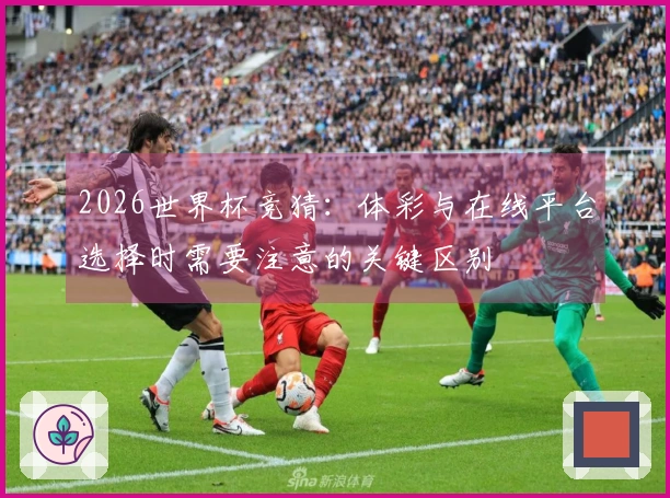 2026世界杯竞猜：体彩与在线平台选择时需要注意的关键区别