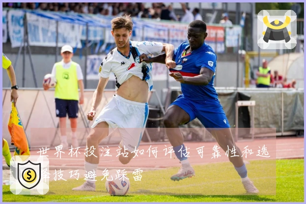 世界杯投注站如何评估可靠性和选择技巧避免踩雷