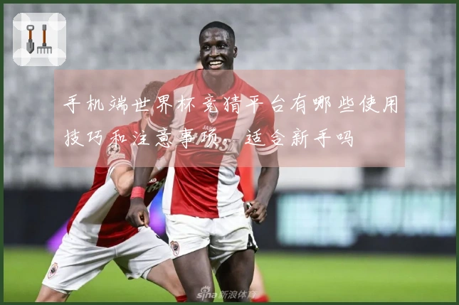 手机端世界杯竞猜平台有哪些使用技巧和注意事项，适合新手吗