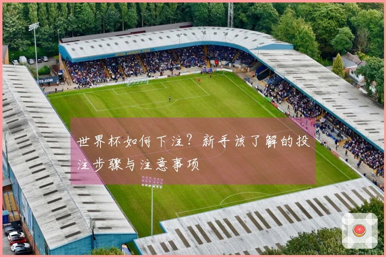 世界杯如何下注？新手该了解的投注步骤与注意事项
