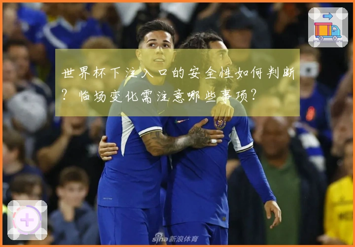 世界杯下注入口的安全性如何判断？临场变化需注意哪些事项？