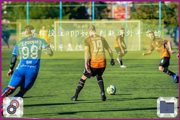 世界杯投注app如何判断海外平台的安全性与可靠性