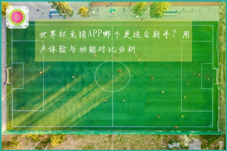 世界杯竞猜APP哪个更适合新手？用户体验与功能对比分析
