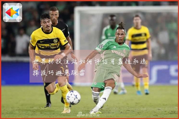世界杯投注站如何评估可靠性和选择技巧避免踩雷