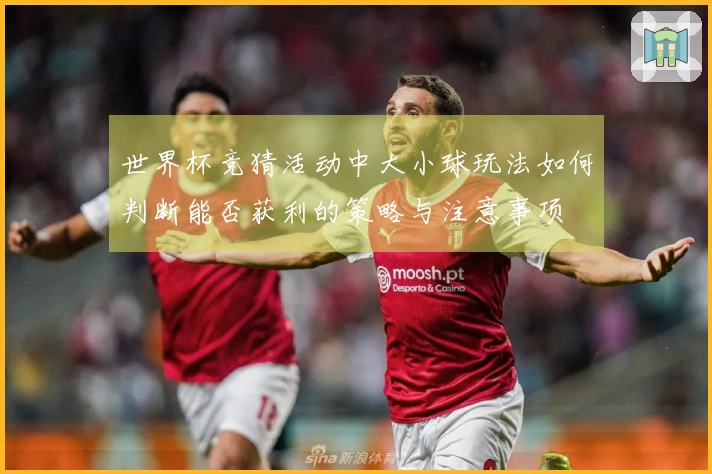 世界杯竞猜活动中大小球玩法如何判断能否获利的策略与注意事项