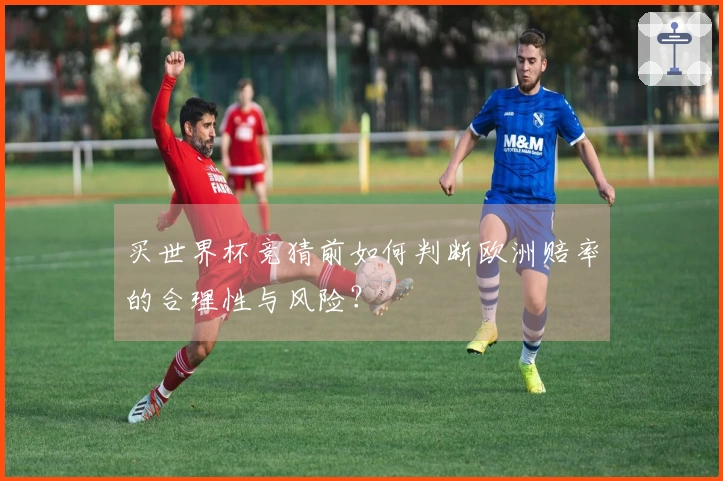 买世界杯竞猜前如何判断欧洲赔率的合理性与风险?