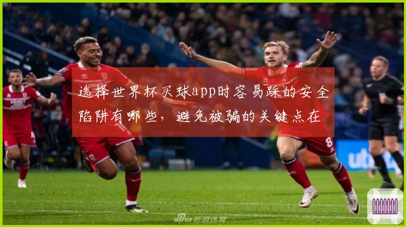 选择世界杯买球app时容易踩的安全陷阱有哪些，避免被骗的关键点在哪儿