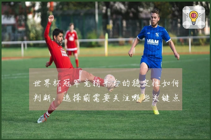 世界杯冠军竞猜平台的稳定性如何判断，选择前需要关注哪些关键点