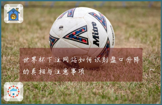 世界杯下注网站如何识别盘口升降的真相与注意事项