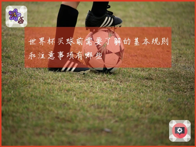 世界杯买球前需要了解的基本规则和注意事项有哪些