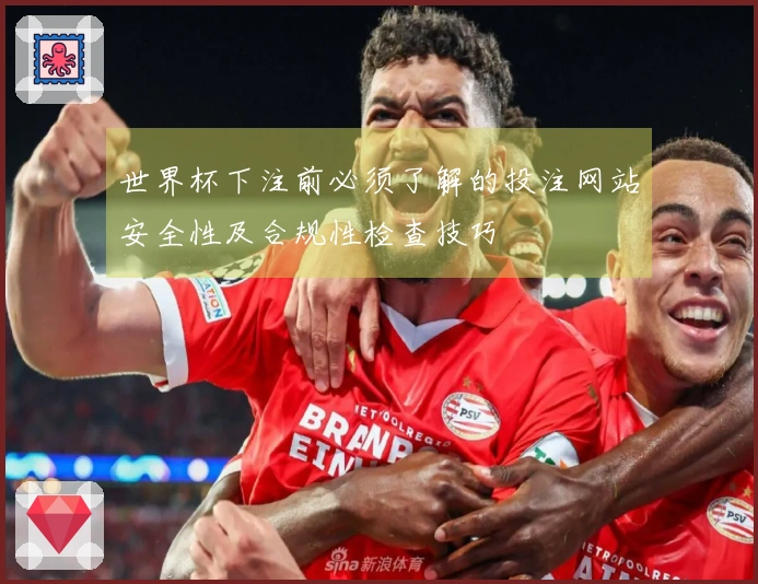 世界杯下注前必须了解的投注网站安全性及合规性检查技巧