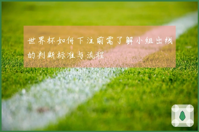 世界杯如何下注前需了解小组出线的判断标准与流程