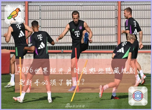 2026世界杯开户时有哪些隐藏规则是新手必须了解的？