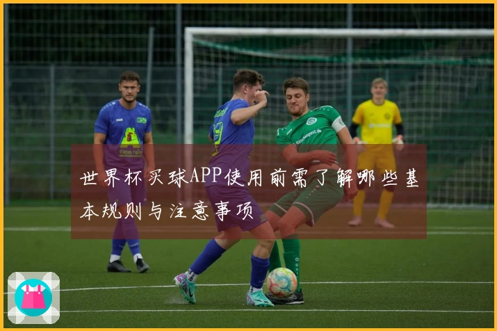 世界杯买球APP使用前需了解哪些基本规则与注意事项