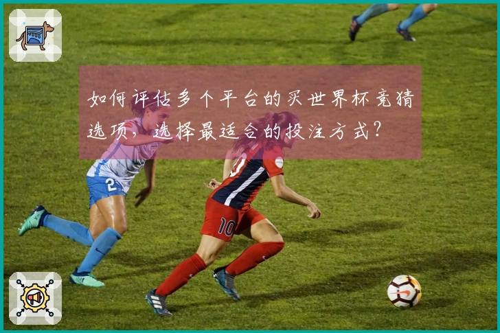 如何评估多个平台的买世界杯竞猜选项,选择最适合的投注方式?