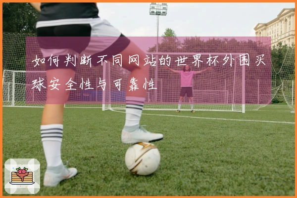 如何判断不同网站的世界杯外围买球安全性与可靠性
