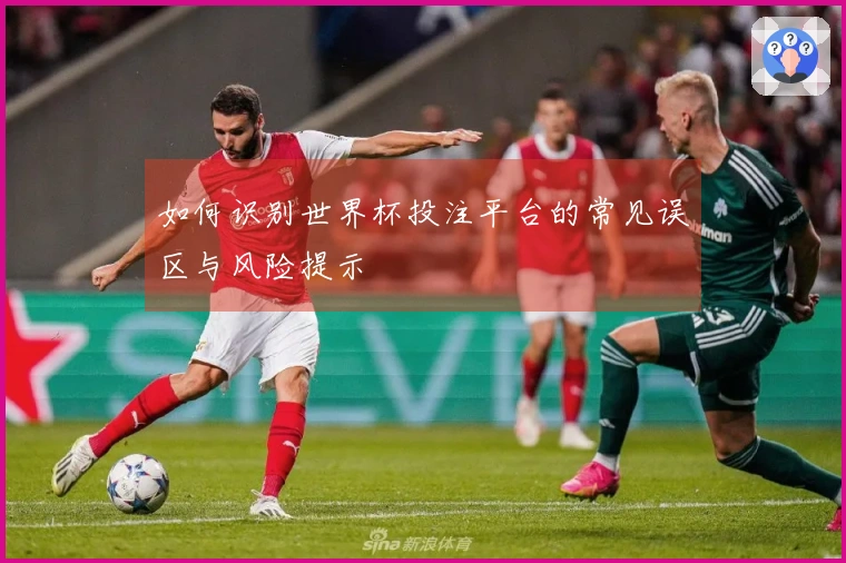如何识别世界杯投注平台的常见误区与风险提示