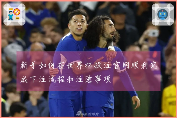 新手如何在世界杯投注官网顺利完成下注流程和注意事项