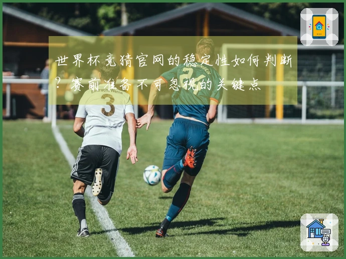 世界杯竞猜官网的稳定性如何判断?赛前准备不可忽视的关键点