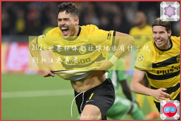 2026世界杯体彩让球玩法有什么规则和注意事项