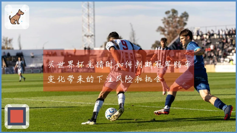 买世界杯竞猜时如何判断冠军赔率变化带来的下注风险和机会