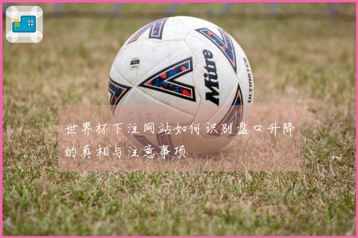 世界杯下注网站如何识别盘口升降的真相与注意事项