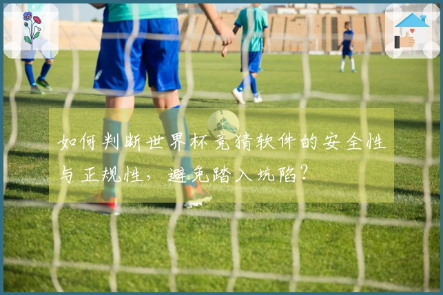 如何判断世界杯竞猜软件的安全性与正规性，避免踏入坑陷？