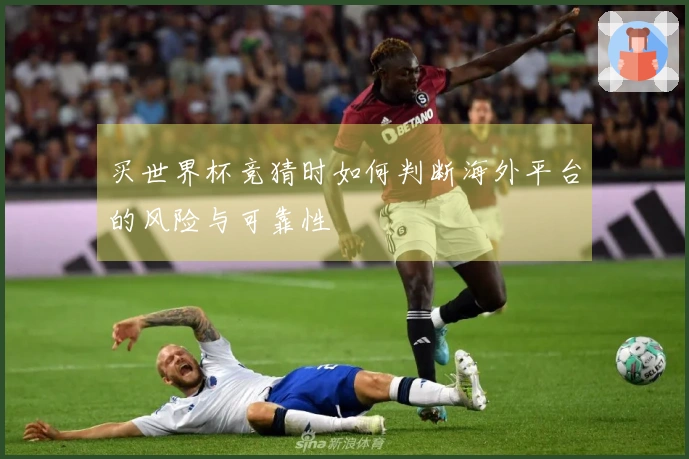 买世界杯竞猜时如何判断海外平台的风险与可靠性